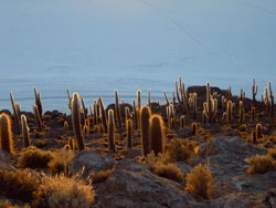 Isla de los Pescadores
