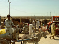 Pakistaans dorpsleven